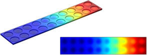 Ohmic Losses and Temperature Distribution in a Passive PEM Fuel Cell