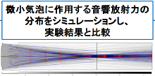 Simulation Analysis of Acoustic Radiation Force under Ultrasound Exposure ...