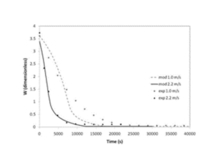 Multiphysics Modeling of Warm-Air Drying of Potatoes Slices