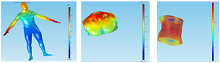Biological Effects of Microwave Radiation