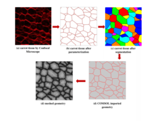 Modeling Mechanical Property Changes During Heating of Carrot Tissue - A ...