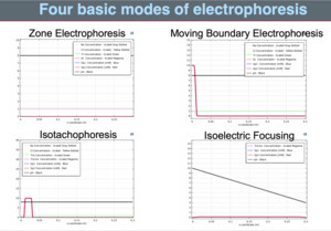 Exploring Electrophoresis Using COMSOL Multiphysics®.