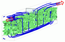 On the Drying Dynamics in Biofilters