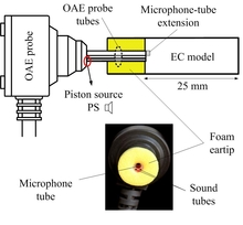 Evanescent Waves at the Interface Between Ear Canal and Otoacoustic ...
