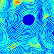 Numerical Homogenization in Multi-scale Models of Musculoskeletal ...