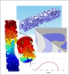 3D Model for the Dynamic Simulation of SOFC Cathodes