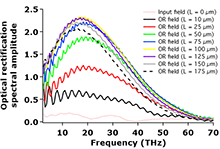 Designing and Simulating THz Guided Wave Devices Using Finite Element ...