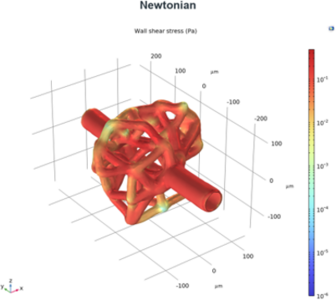Mathematical Model of the formation of the microvascular tree based on IVM ...