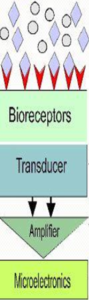 Understanding the Role of Nanomaterials in DNA Biosensors Through Finite ...