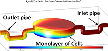 Modelling of the Oxygen Consumption of Cells in the Cell Culturing Platform
