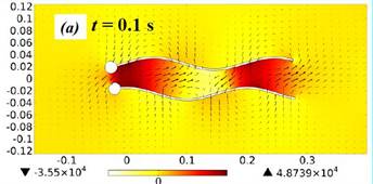 Numerical Simulation of Auto-Propulsion Mechanism of Microorganism Inside a ...