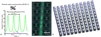 Mechanistic Modeling of Non-Spherical Bacterial Attachment on Plant Surface ...
