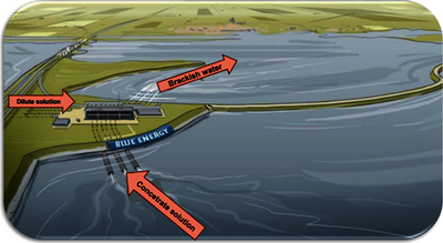 Investigation of Reverse ElectroDialysis Units by Multi-Physical  Modelling