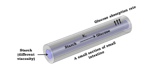 Effect of Viscosity of Food on Digestion and Nutrient Absorption in the ...