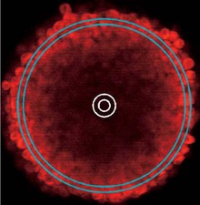 Parameter Optimization for Finite-Element Method (FEM) based modeling of ...
