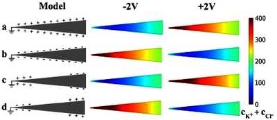 基于光响应主客体相互作用及 pH 调控的“即插即用”纳流二极管