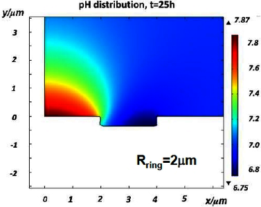 Numerical simulation of micro galvanic corrosion induced by intermetallic ...