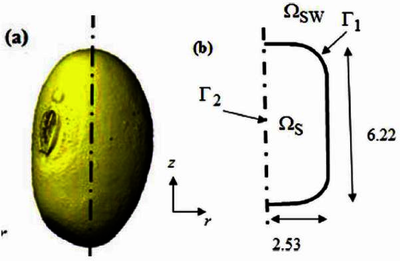 Modeling Alpha-Galactosides Behavior during Cowpea Soaking-Cooking for ...