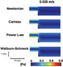 Newtonian and Non-Newtonian Blood Flow over a Backward-Facing Step: Steady ...
