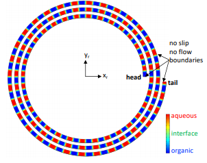 Modeling Two Phase Fluid Flow in High Speed Counter Current Chromatography