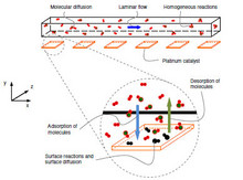 Multi-Scale Modelling of Catalytic Microreactors