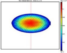Modeling the Bacterial Clearance in Capillary Network Using Coupled ...