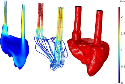Image based, geometry prescribed CFD of intra-cardiac flows on a dynamic ...